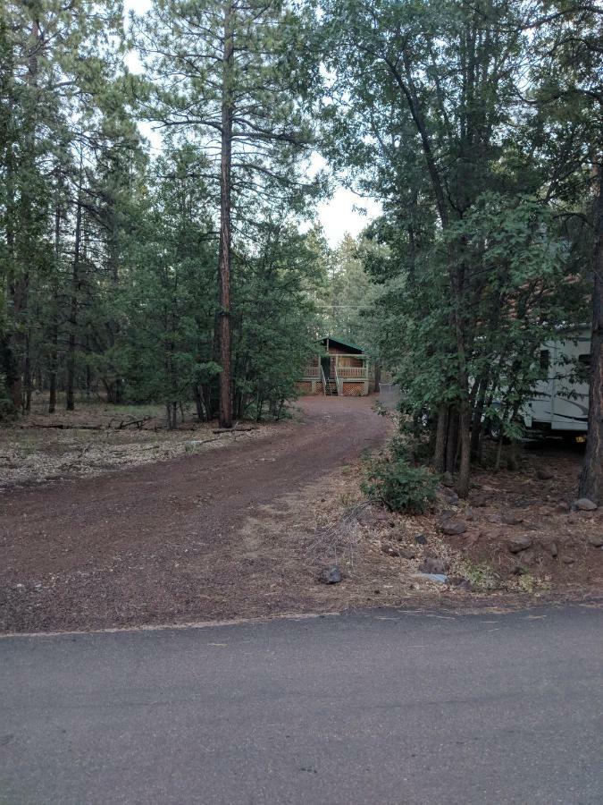 Cozy Cub Log Cabin - Year Round Tranquil Beauty Pinetop-Lakeside Exterior photo