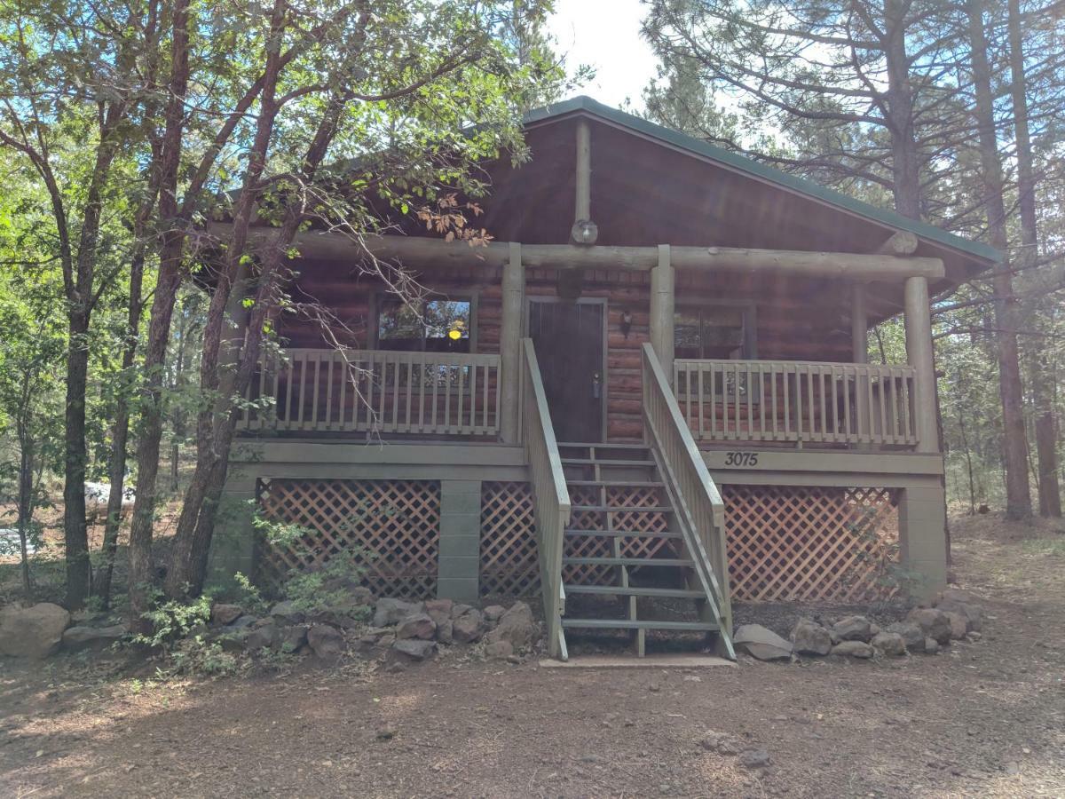 Cozy Cub Log Cabin - Year Round Tranquil Beauty Pinetop-Lakeside Exterior photo